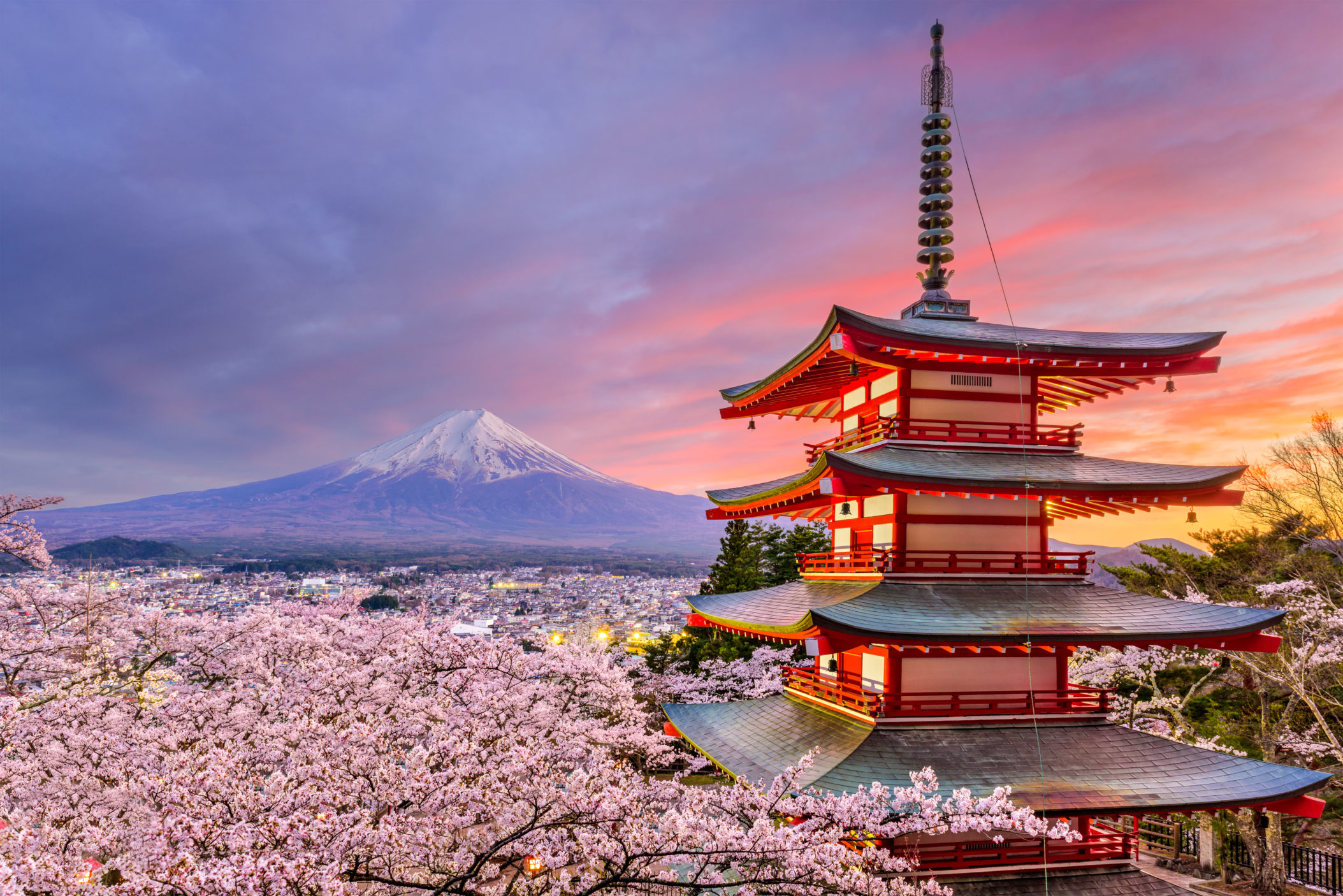 Japan Trip